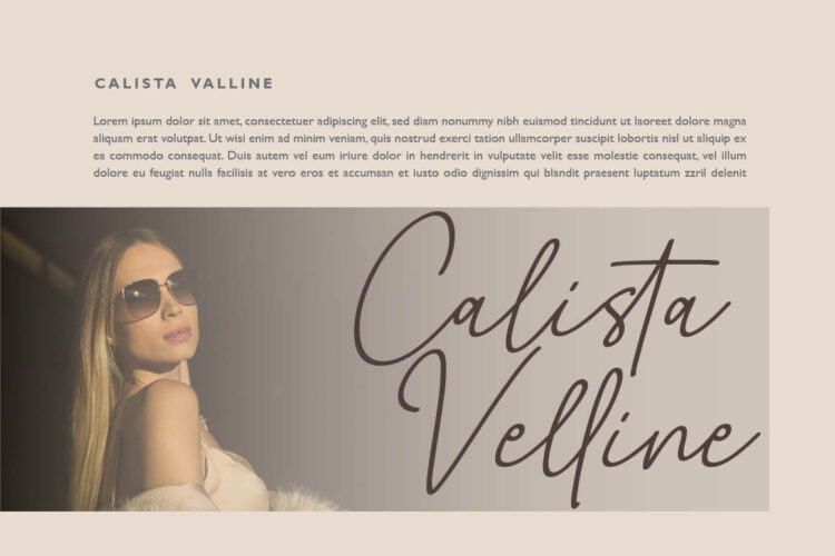 Whiteline Font - Elegant SIgnature Script Font