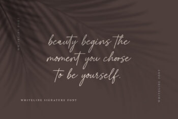 Whiteline Font - Elegant SIgnature Script Font