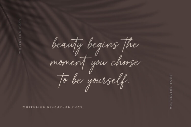 Whiteline Font - Elegant SIgnature Script Font