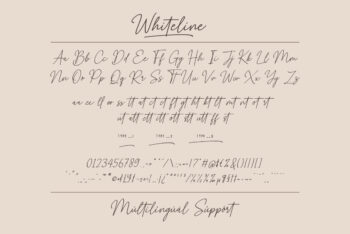 Whiteline Font - Elegant SIgnature Script Font