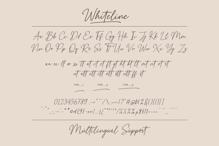 Whiteline Font - Elegant SIgnature Script Font